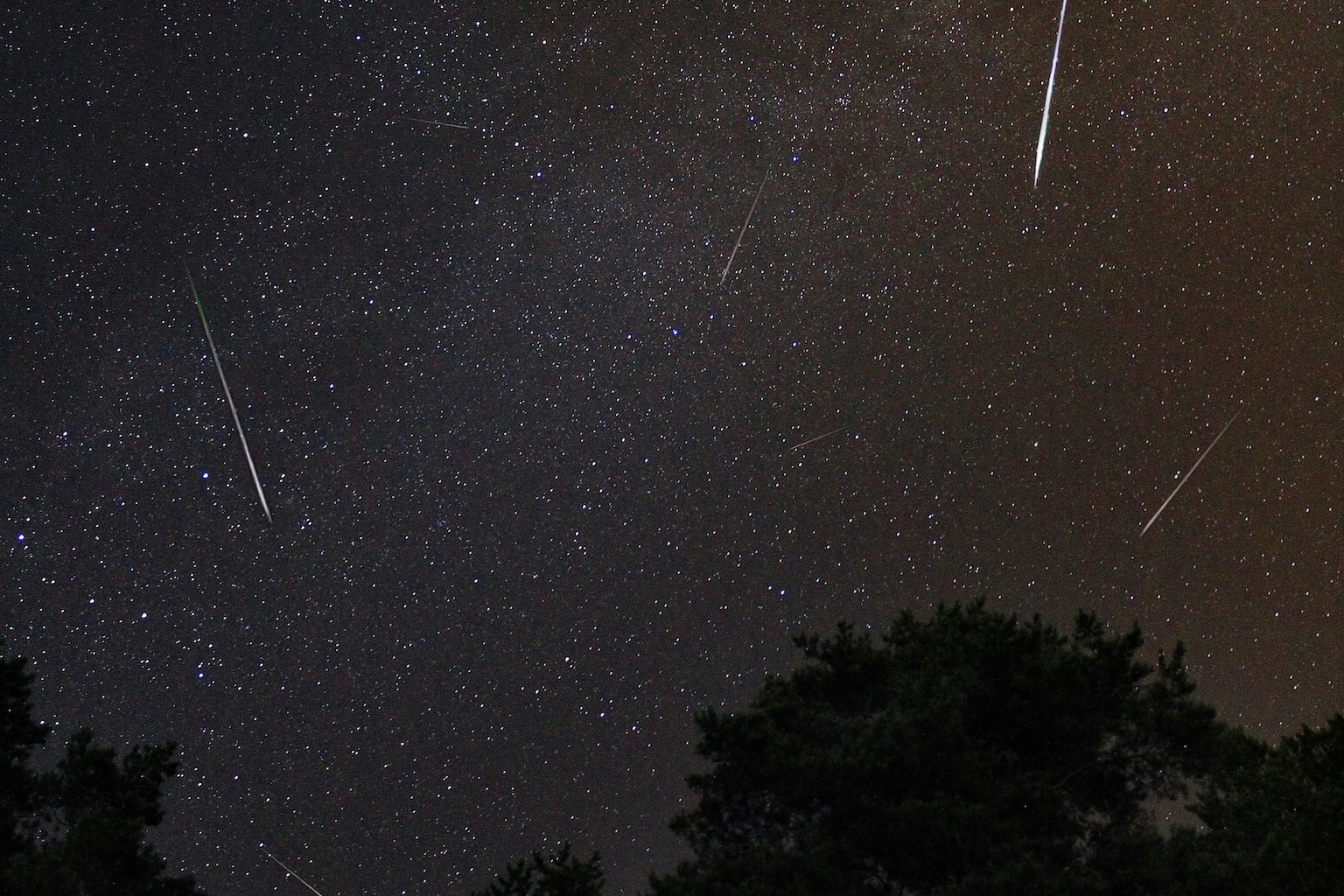 How to Capture the Best Photos of the Perseids 2026